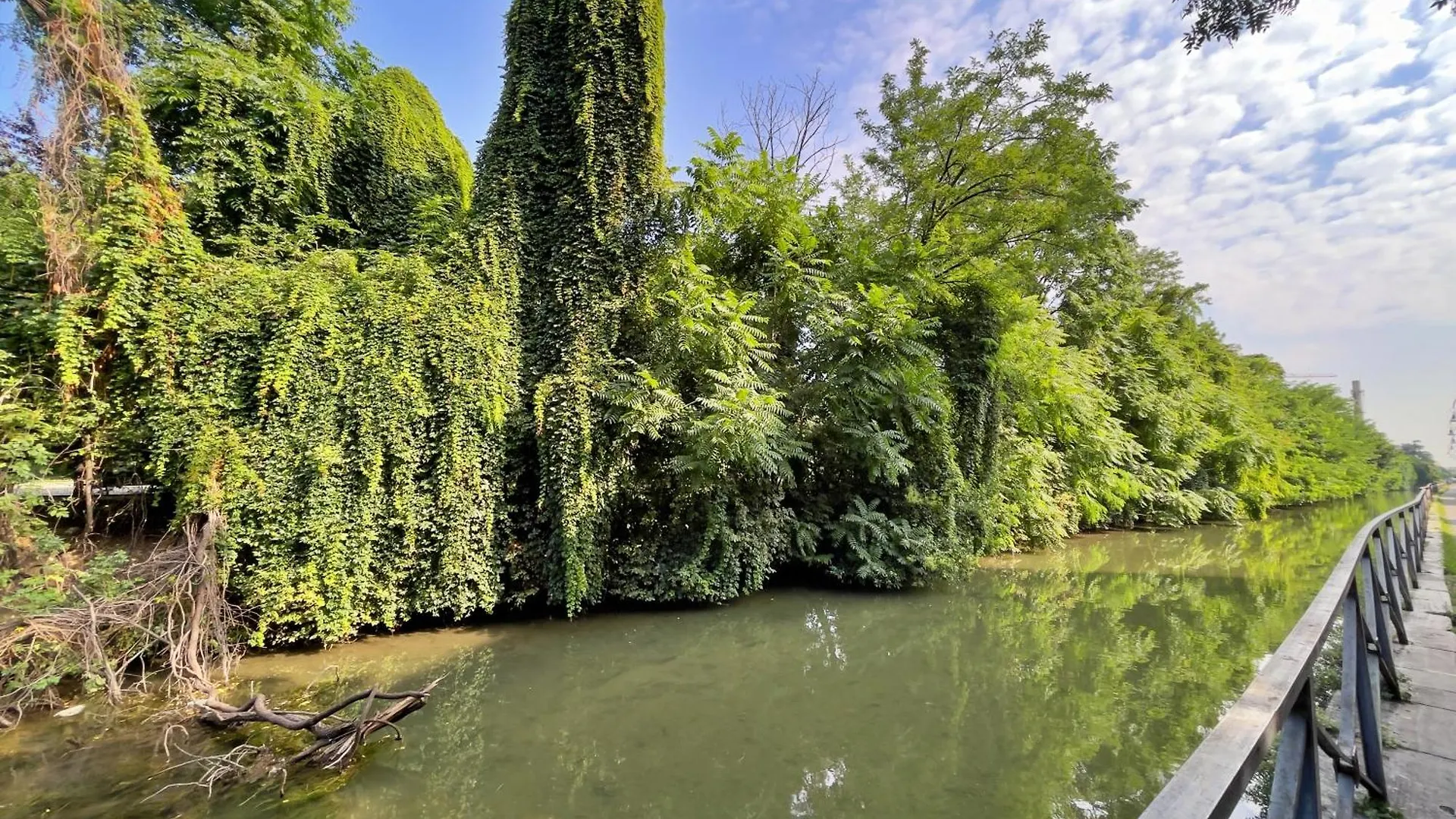 Best Way Rent - Enchanting Apartment On Naviglio Martesana Milan Italy